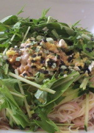 お野菜たっぷり☆おそうめん☆-レシピのメイン写真