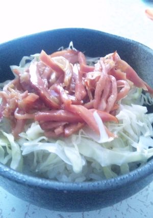 10分で作れる超うま焼き豚丼-レシピのメイン写真