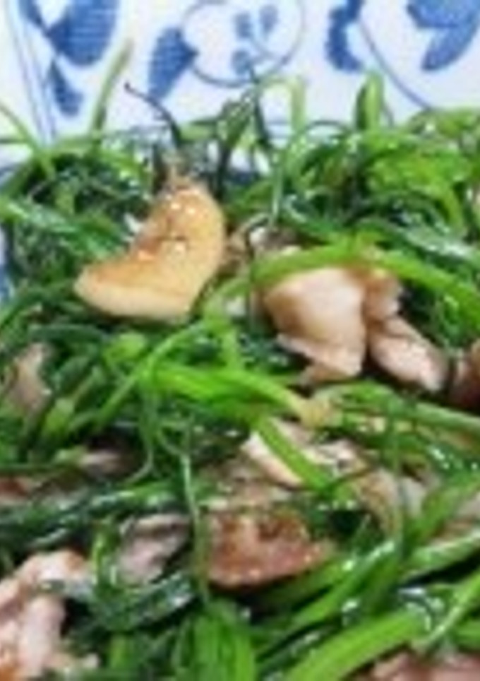 おかひじきの元気炒め-レシピのメイン写真