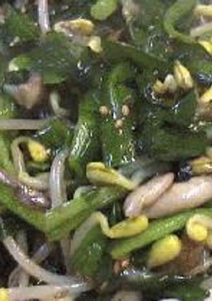 もやしとニラの牡蠣醤油炒め-レシピのメイン写真
