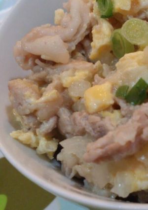簡単♪ほんのりやさしい塩麹豚丼(^^)-レシピのメイン写真