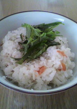 梅干しとちりめんじゃこのご飯☆-レシピのメイン写真