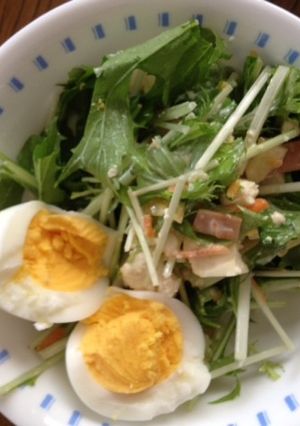 水菜と豆腐のごまドレサラダwithゆで卵-レシピのメイン写真
