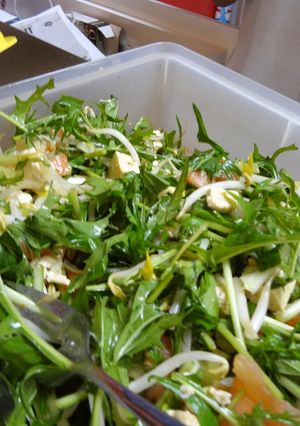 ＃ベジタリアン 豆腐と水菜のサラダ-レシピのメイン写真