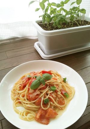 完熟トマトのパスタ-レシピのメイン写真