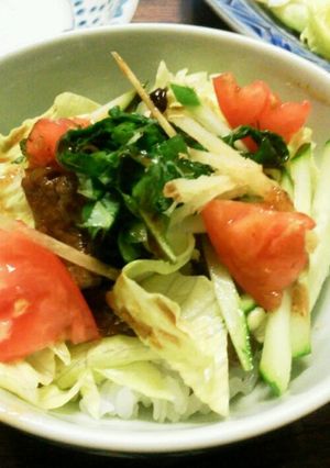 焼き肉のたれで簡単サラダ鶏丼-レシピのメイン写真
