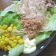 ☆サラダうどん☆
