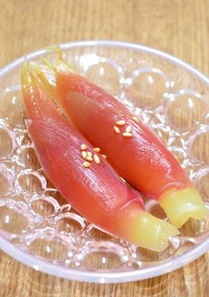 お弁当に♪時短みょうがの甘酢漬け-レシピのメイン写真