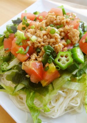 夏にぴったりぶっかけそうめん-レシピのメイン写真