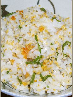 我が家の定番混ぜご飯!梅じそしらすご飯-レシピのメイン写真