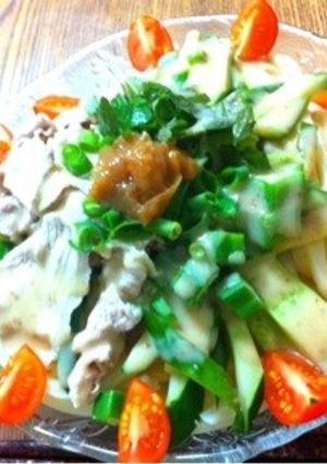 あっさりサラダうどん！-レシピのメイン写真