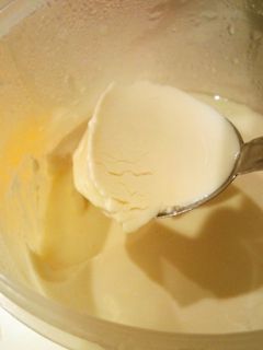 自家製豆乳ヨーグルト-レシピのメイン写真