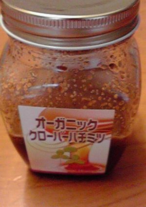 万能ハチミツ胡麻ドレッシング-レシピのメイン写真