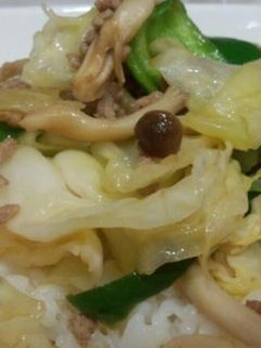 肉野菜炒め丼-レシピのメイン写真