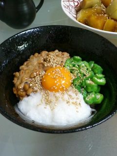 栄養満点*ねばねば三色丼-レシピのメイン写真