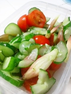 *夏野菜さっぱりサラダ~みょうが入り~*-レシピのメイン写真