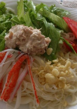 うどんじゃないよ。サラダそうめん♪-レシピのメイン写真