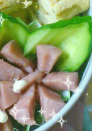 お弁当に☆ｷｭｳﾘの葉っぱ☆-レシピのメイン写真