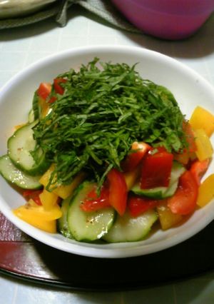 だしの素で♪夏野菜のあっさり浅漬け風-レシピのメイン写真