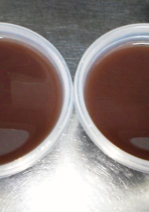 簡単！すぐできちゃう水ようかん-レシピのメイン写真