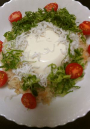 茶飯に冷たい豆腐としらすのせご飯-レシピのメイン写真