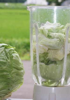 キャベツの発酵ジュース-レシピのメイン写真