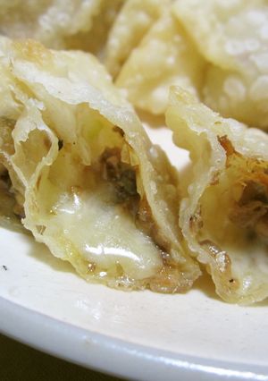 さんまの蒲焼とチーズの揚げ餃子-レシピのメイン写真