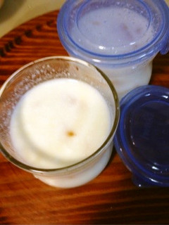 夏はカキーン♪冷凍ヨーグルアイス-レシピのメイン写真