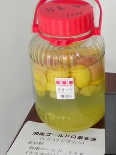 ☆湘南ゴールド☆の果実酒-レシピのメイン写真