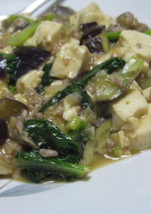 野菜たっぷりの麻婆野菜豆腐-レシピのメイン写真