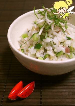 茗荷と胡瓜の爽やか夏ご飯☆*ﾟ¨-レシピのメイン写真