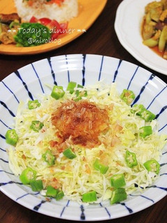 さっぱり☆大根おろしでキャベツサラダ-レシピのメイン写真