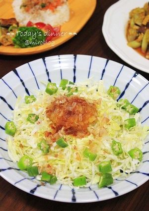 さっぱり☆大根おろしでキャベツサラダ-レシピのメイン写真