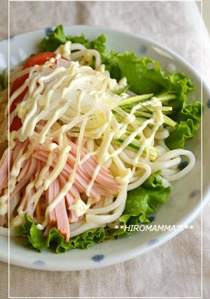 冷やしサラダうどん-レシピのメイン写真