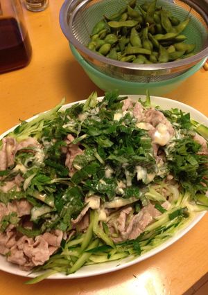 夏にぴったり♪サラダうどん♪-レシピのメイン写真