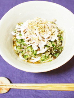 薬味たっぷり冷やしうどん-レシピのメイン写真