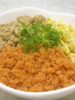 栄養たっぷり♡三色そぼろ丼-レシピのメイン写真