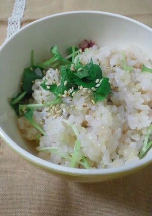 優しい味のたこ飯-レシピのメイン写真