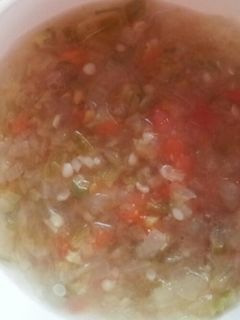 離乳食☆夏の赤ちゃんガスパチョ風スープ-レシピのメイン写真