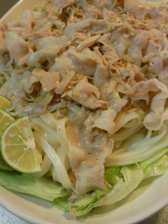 ガッツリ!冷しゃぶうどん-レシピのメイン写真
