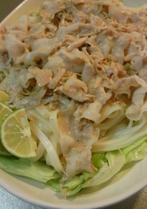 ガッツリ！冷しゃぶうどん-レシピのメイン写真