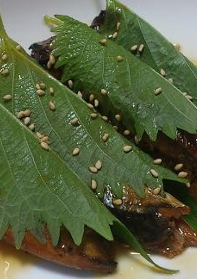激簡単おつまみ！！さんまの蒲焼のしそ巻き-レシピのメイン写真