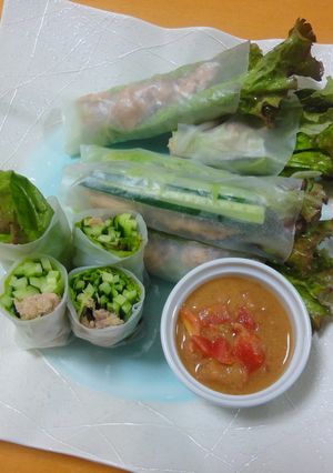 ごまトマだれで食べる！夏野菜生春巻き-レシピのメイン写真