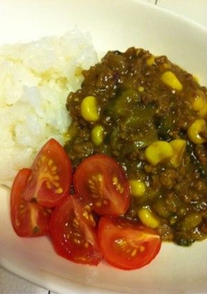 ゴーヤのキーマカレー☆-レシピのメイン写真