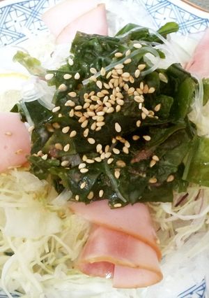 野菜たっぷり海藻春雨サラダ-レシピのメイン写真