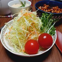 基本からアレンジまで！思わずつくりたくなる「千切りキャベツ 豆腐