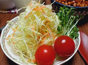 豆腐とキャベツのダイエット和風サラダ-レシピのメイン写真