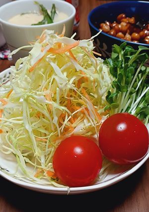 豆腐とキャベツのダイエット和風サラダ-レシピのメイン写真