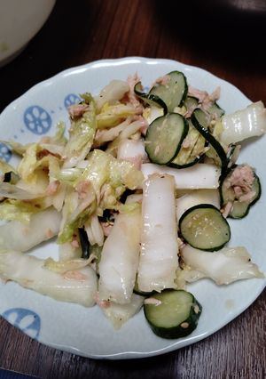白菜とツナの中華サラダ-レシピのメイン写真