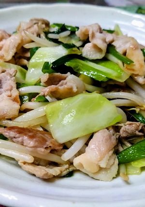 基本の野菜炒め-レシピのメイン写真